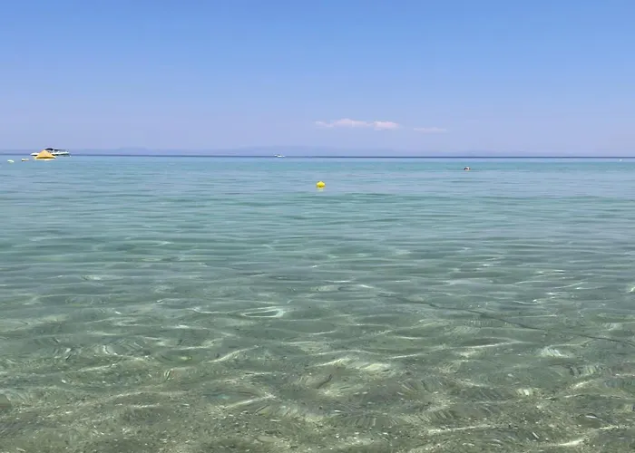 Aegean #a - F & B Summer Collection *