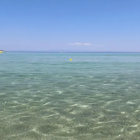 Aegean #a - F & B Summer Collection *